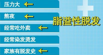 脂溢性脱发.jpg